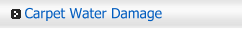 Fort Collins CO Carpet Water Damage | WOW Flooring and Carpets